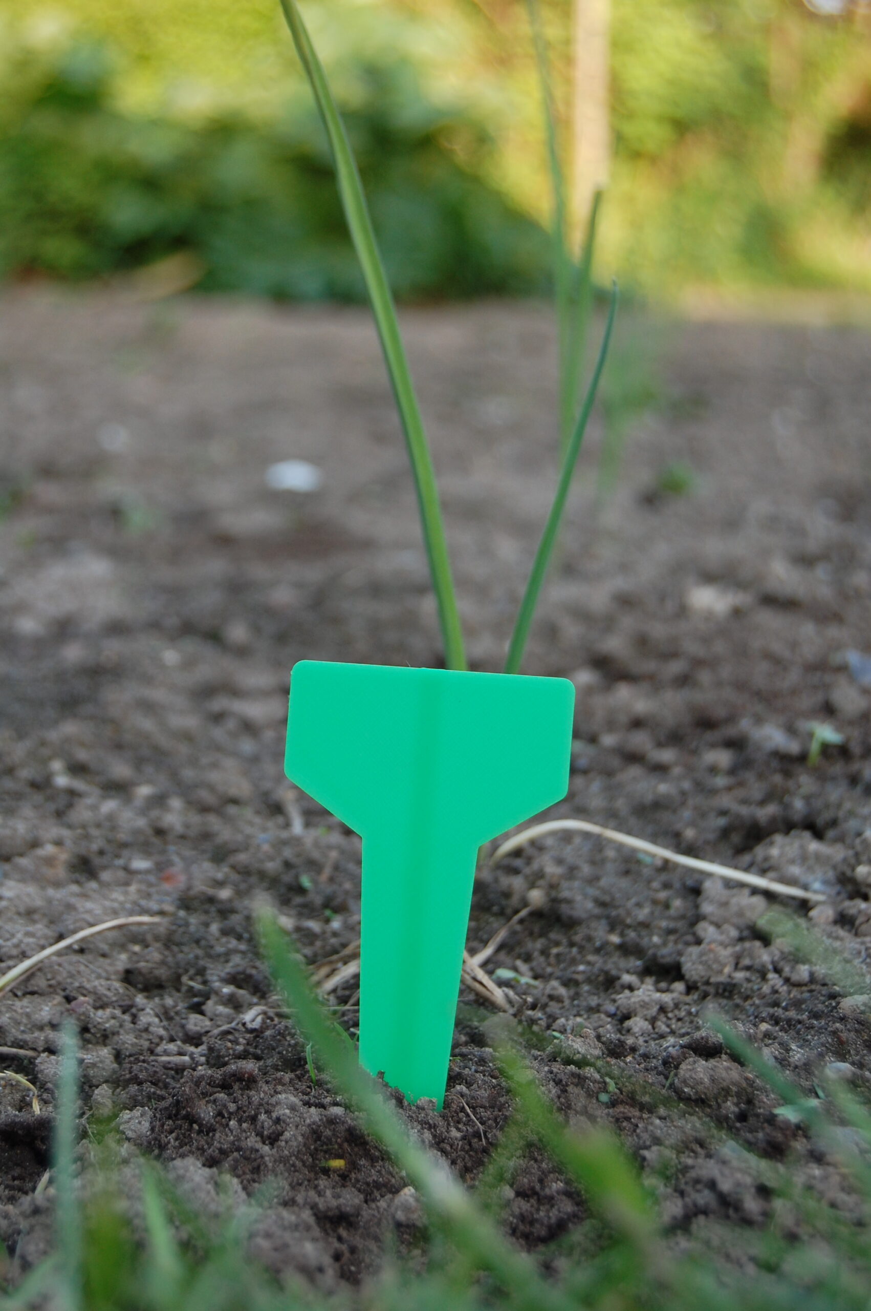 Planteskilte med skrivefelt - Billede 3
