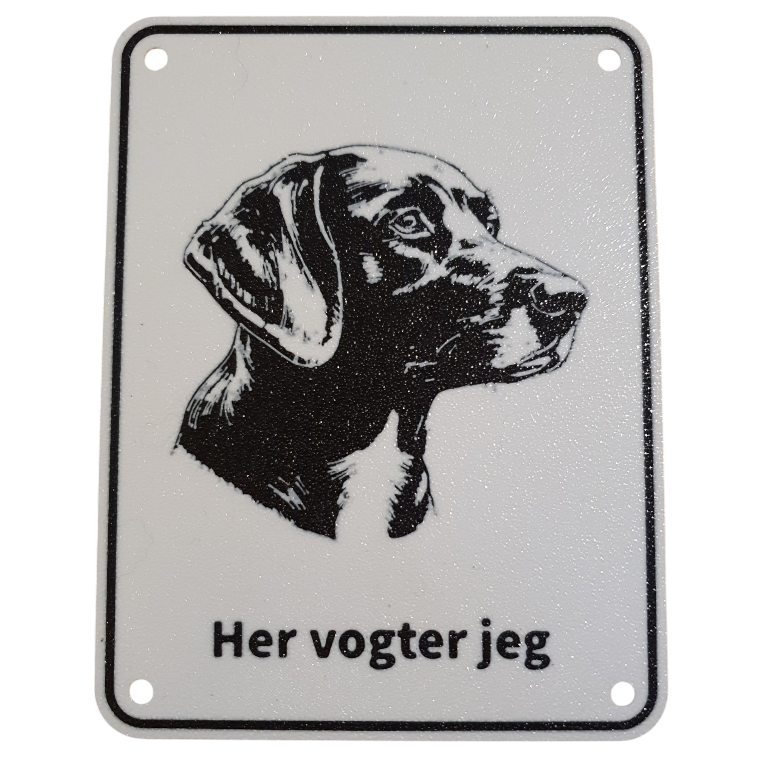 Kleiner münsterländer